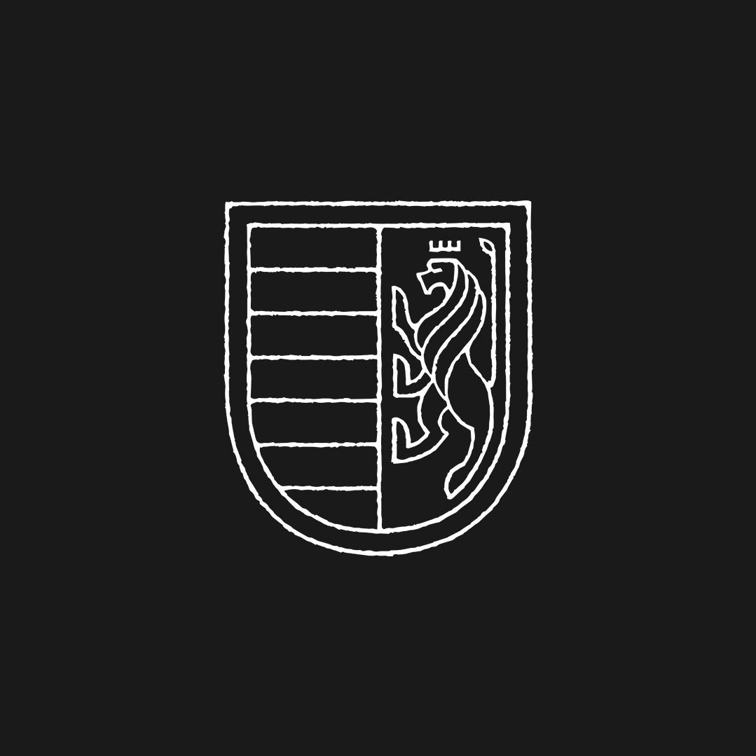 Viñedo 4
