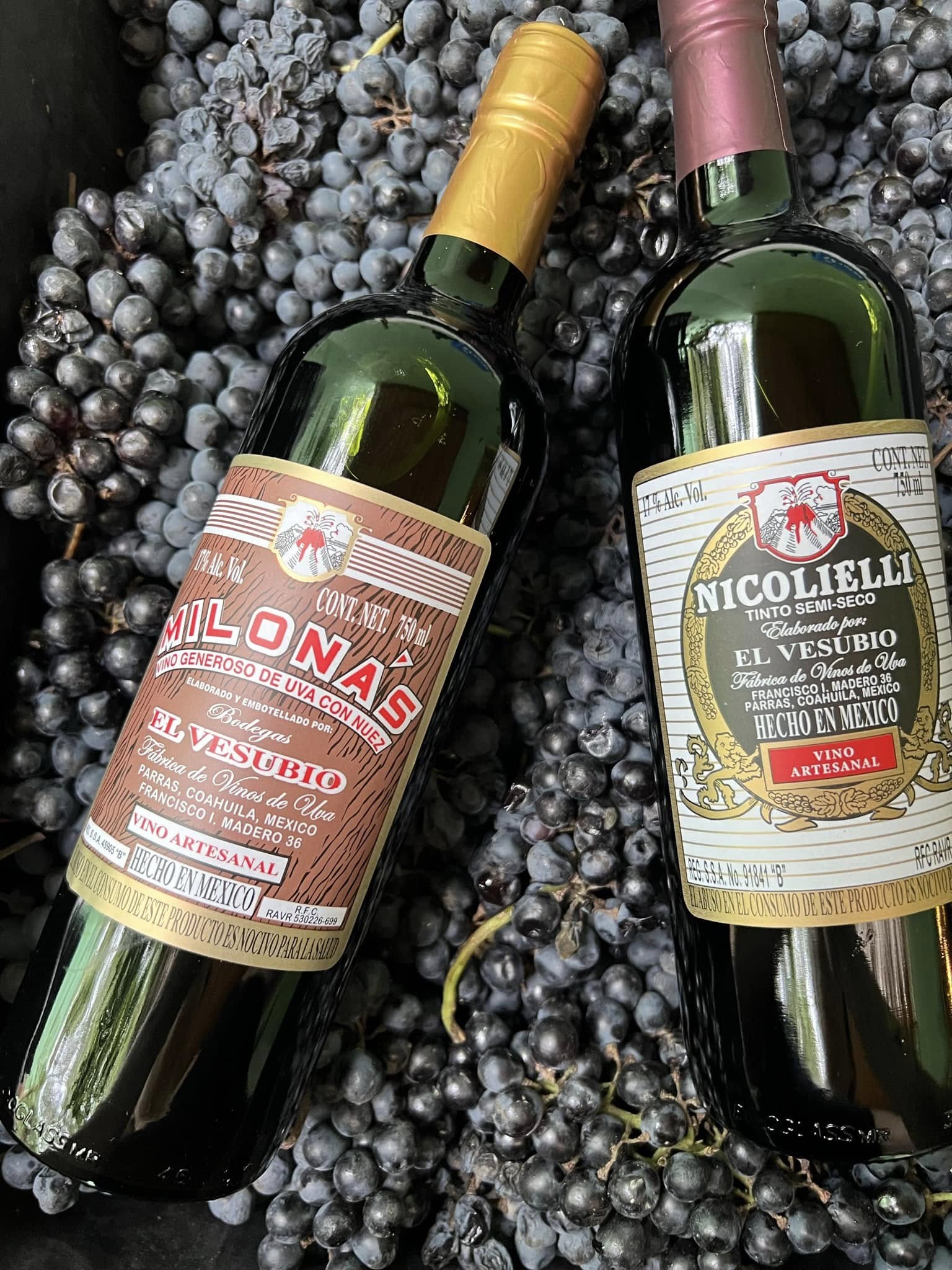 BODEGAS EL VESUBIO