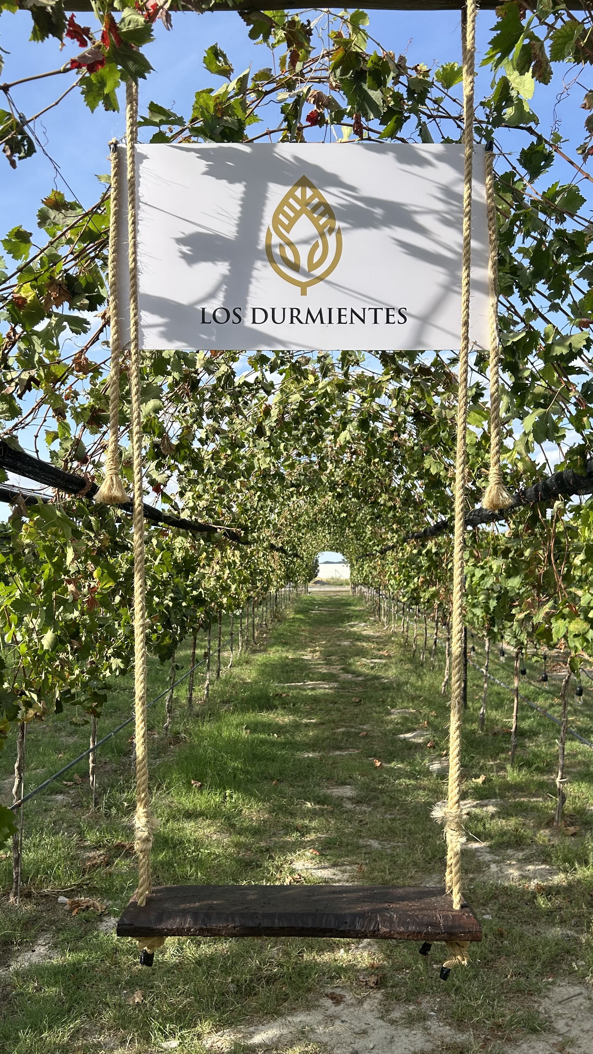 Imagen de Habitación